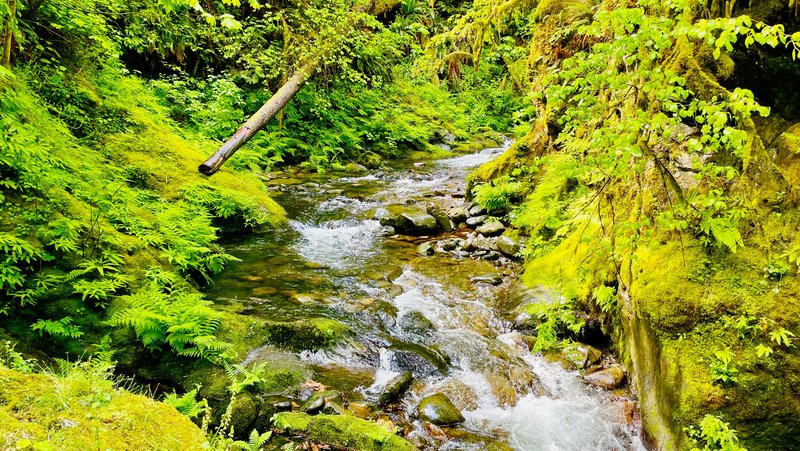Goldstream Provincial Park