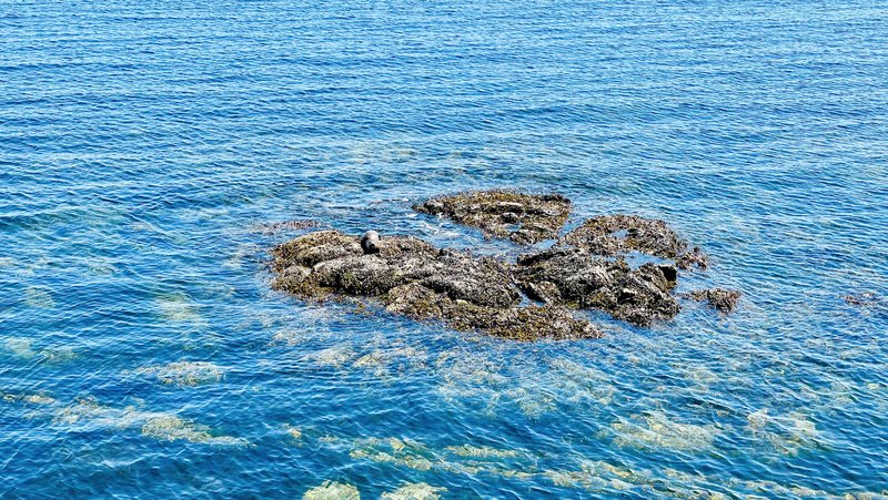 South Coast Victoria