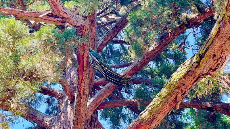 South Coast Victoria