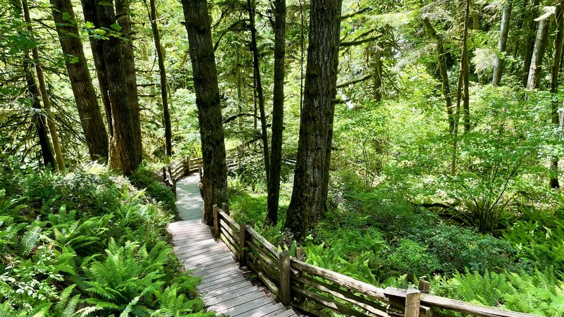 Goldstream Provincial Park