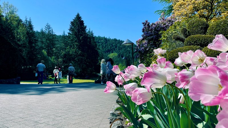 Butchart Gardens