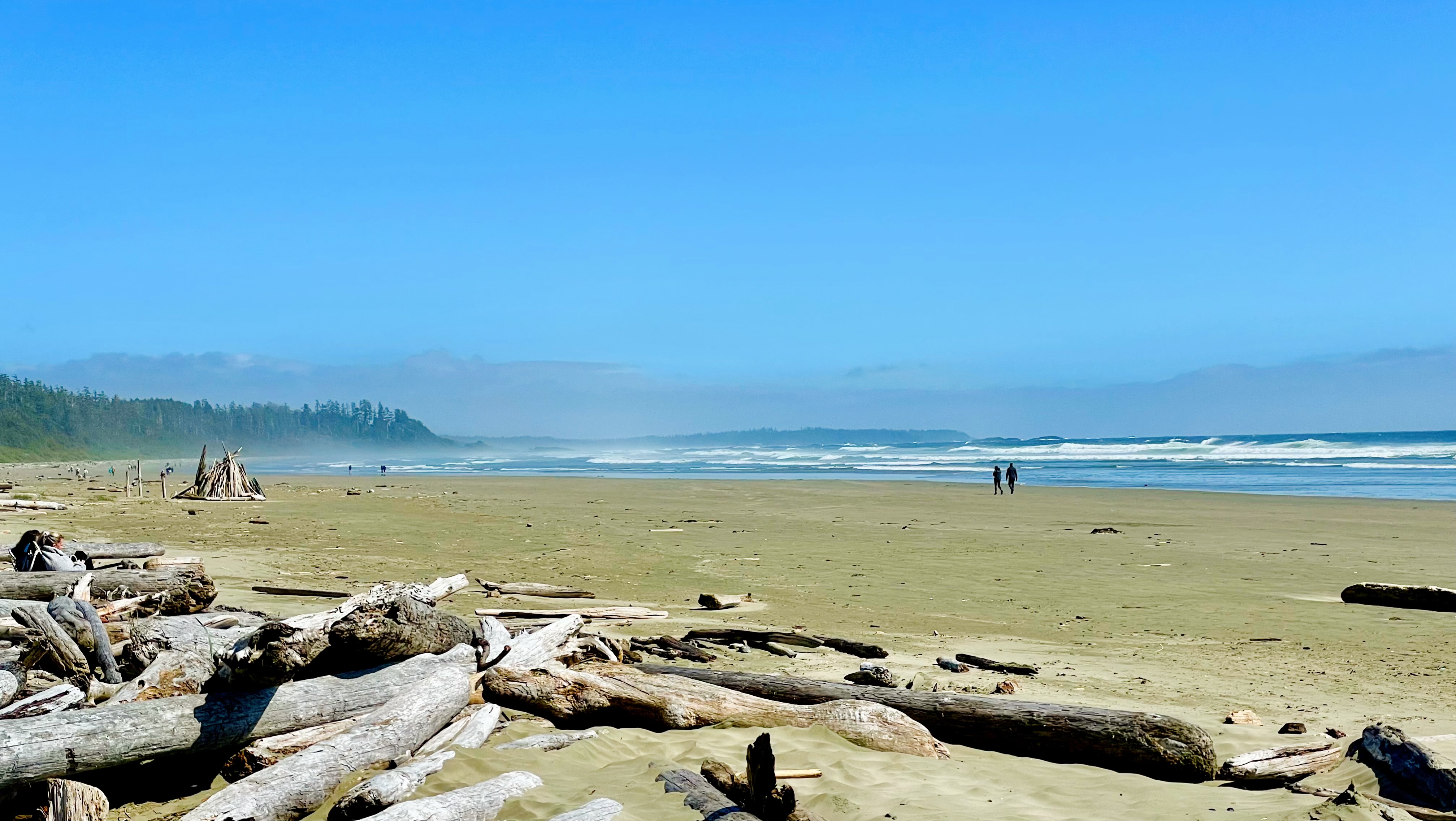 2-Day Wild Pacific Escape